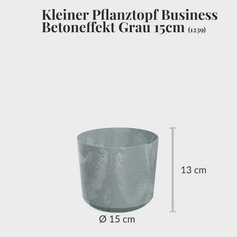 Hydro Büropflanzen Set Sideboard Betonoptik Drachenbaum Mix