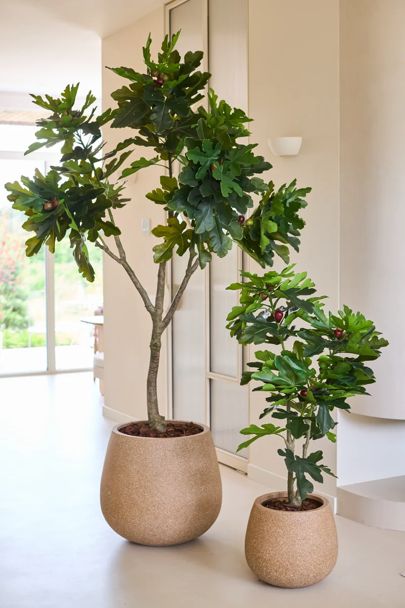 Kunstplant Ficus Carica vijgenboom 210 cm