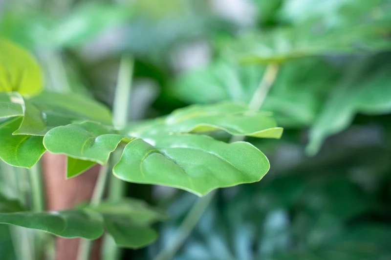 Monstera on pole 150 cm - Artificial plant