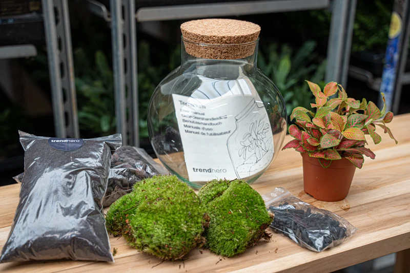 Noah - Terrarium - Bottle garden DIY kit - Ø 18.5 cm ↑ 19 cm