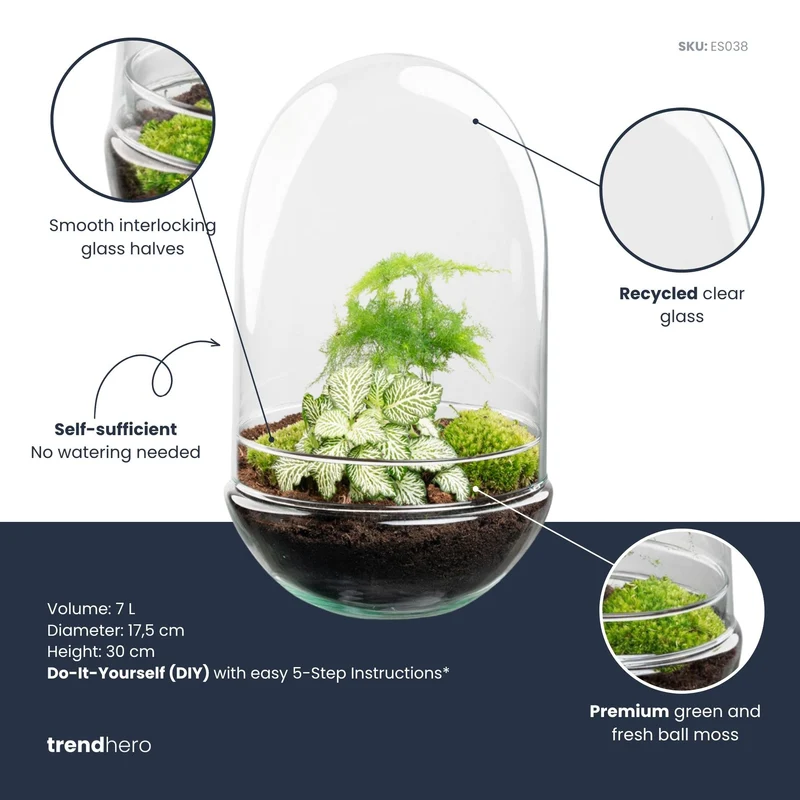 Egg XL - Terrarium - Two-part glass dome - Bottle garden DIY kit - Ø 17.5 cm ↑ 30 cm