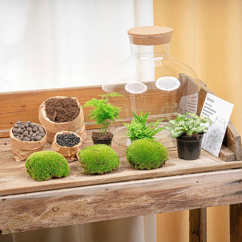 Fat Joe Green - Terrarium with light - Bottle garden DIY kit - Ø 29 cm ↑ 30 cm