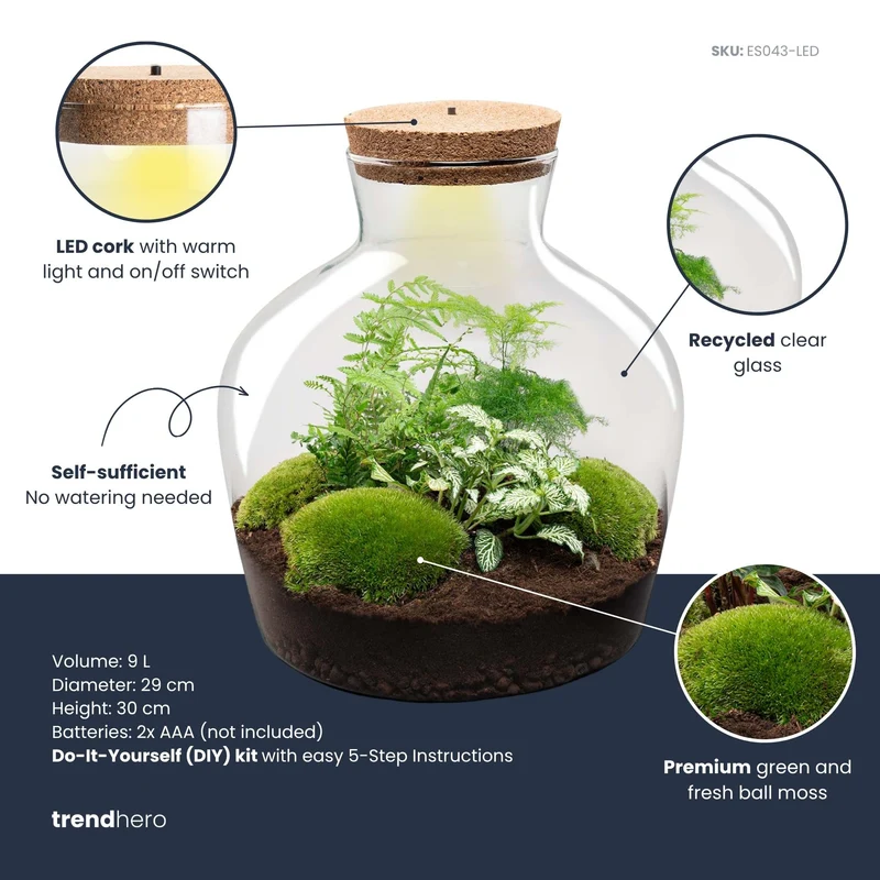 Fat Joe Green - Terrarium with light - Bottle garden DIY kit - Ø 29 cm ↑ 30 cm