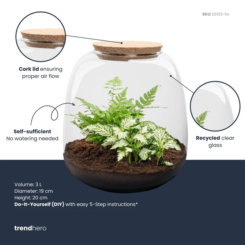 Emma Mini - Fittonia + Fern - Terrarium with cork - Bottle garden DIY kit - Ø 19 cm ↑ 20 cm