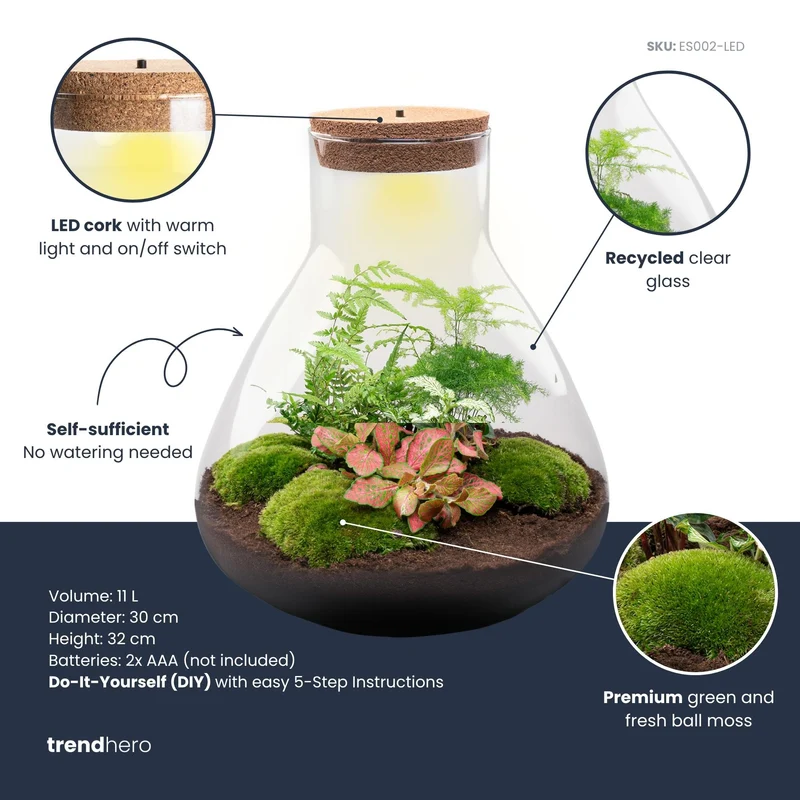 Sam XL Red - Terrarium with light - Bottle garden DIY kit - Ø 30 cm ↑ 32 cm