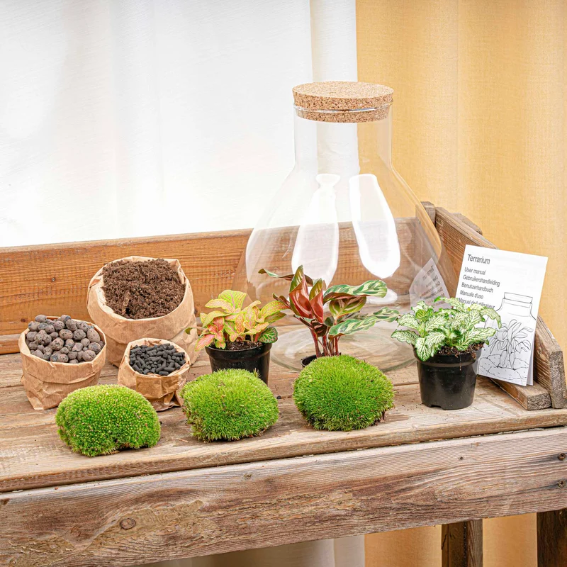 Sam XL Red - Terrarium with light - Bottle garden DIY kit - Ø 30 cm ↑ 32 cm