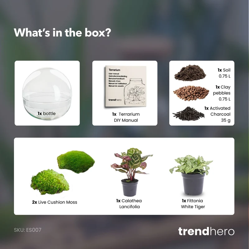 Dome - Two-part round glass terrarium - Bottle garden DIY kit - Ø 20 cm ↑ 20 cm