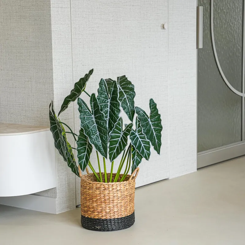 Alocasia 80 cm - Artificial plant