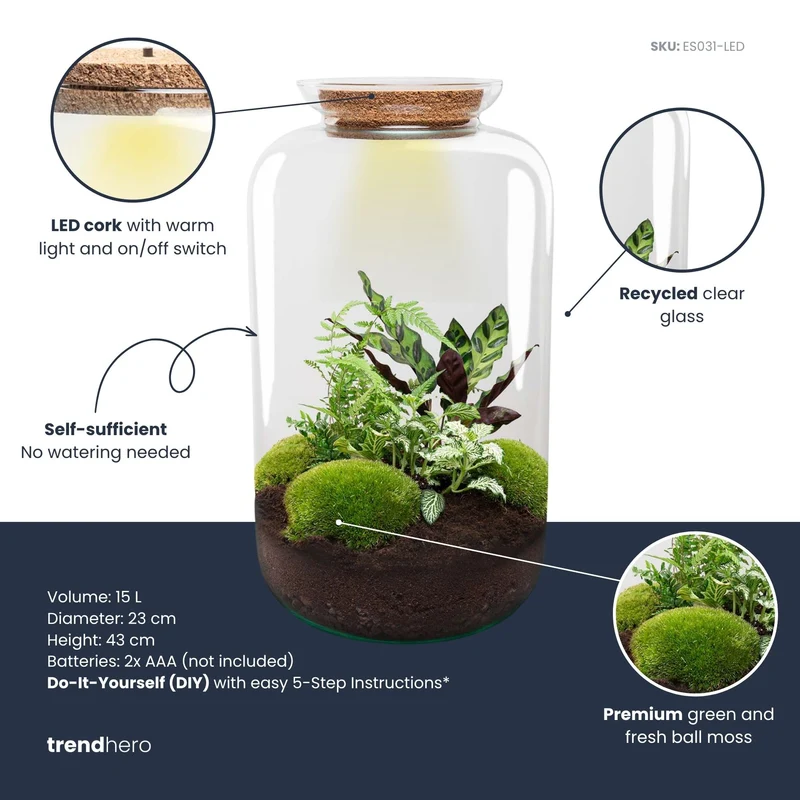 Sven XL Botanical - Terrarium with light - Bottle garden DIY kit - Ø 23 cm ↑ 43 cm