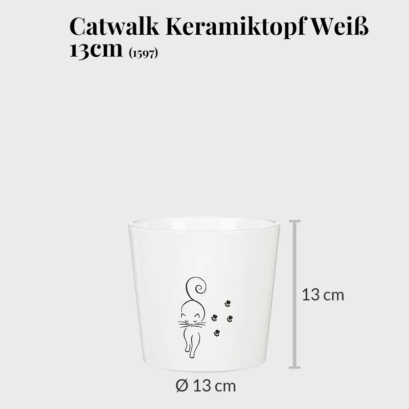 3er Übertopfset 3S Catwalk & Catview