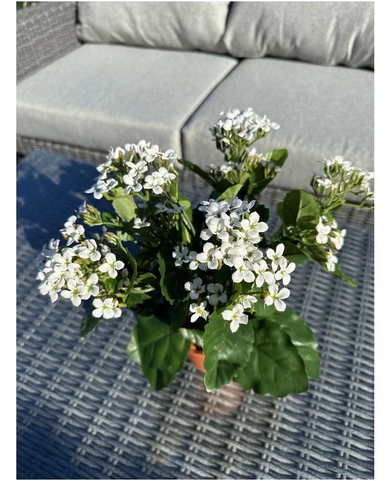 Kunstbloem Kalanchoe plant UV 31 cm wit