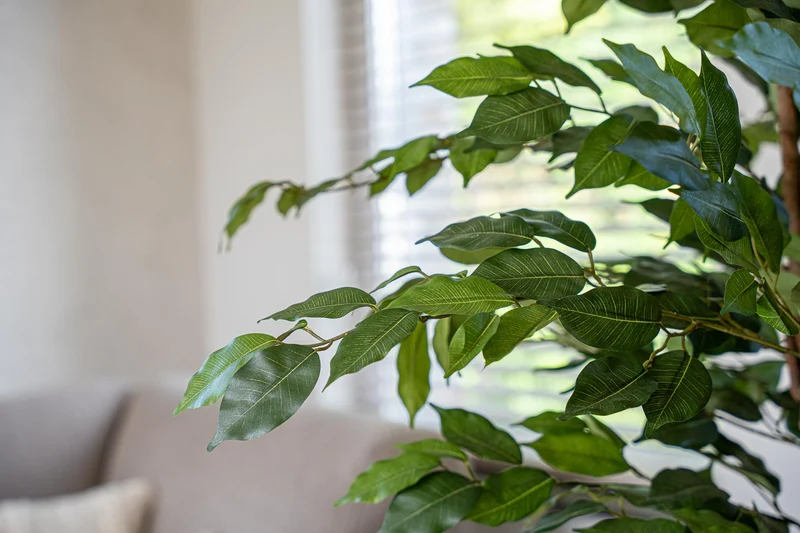 Ficus Liana Tree 140cm - Artificial Plant