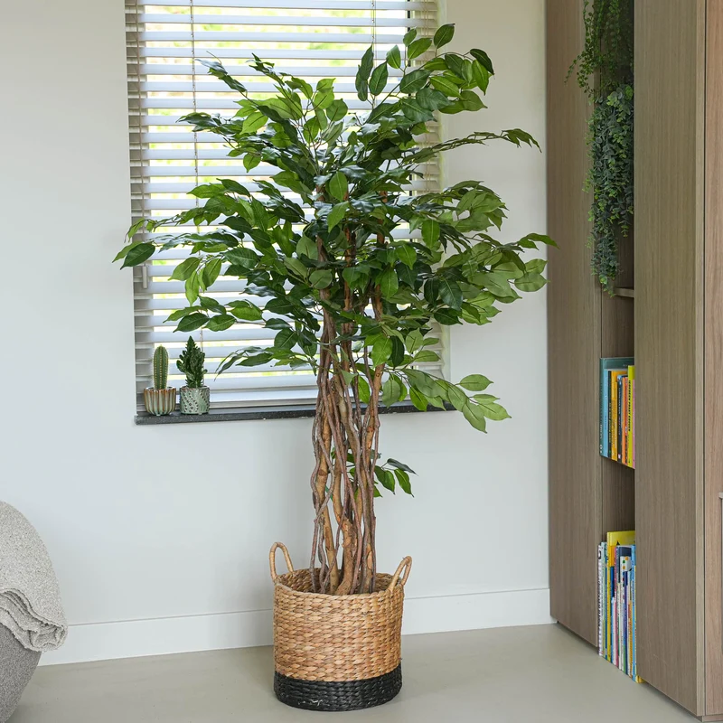Ficus Liana Tree 140cm - Artificial Plant