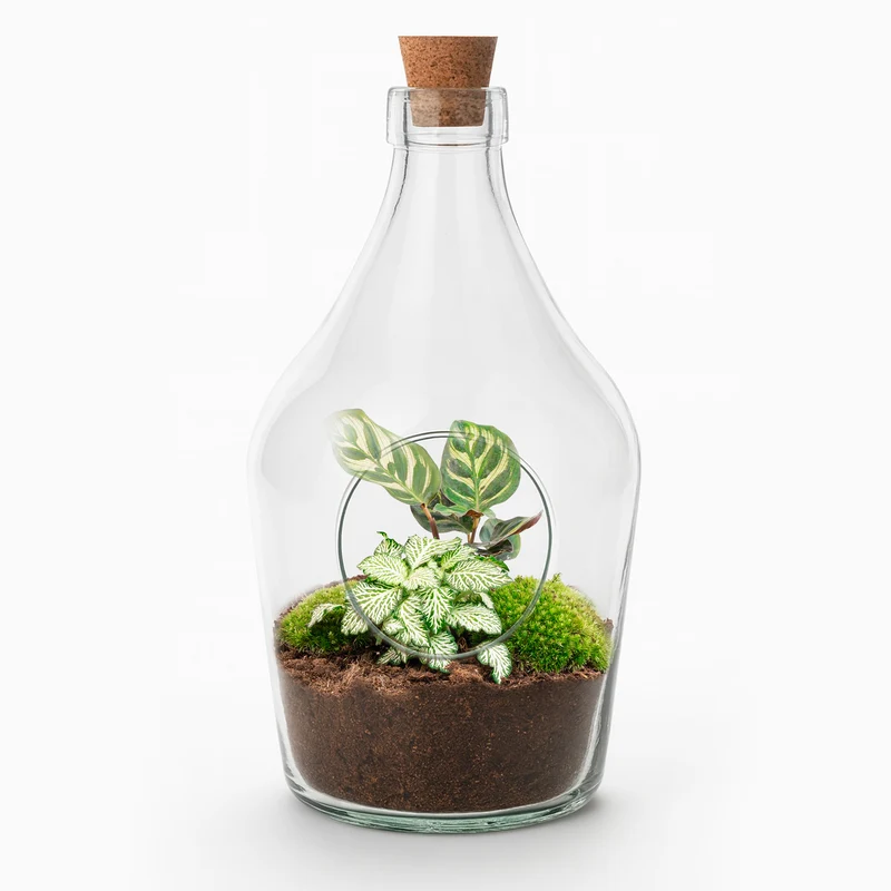 Joss - Open terrarium with cork - Bottle garden DIY kit - Ø 16 cm ↑ 30 cm