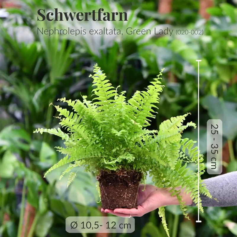 6er Box Tierfreunde für wenig Licht