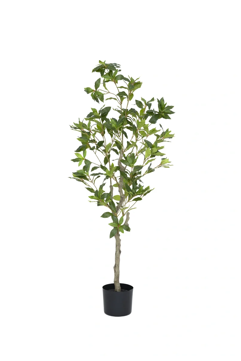 Pieris künstlich, H: 130cm