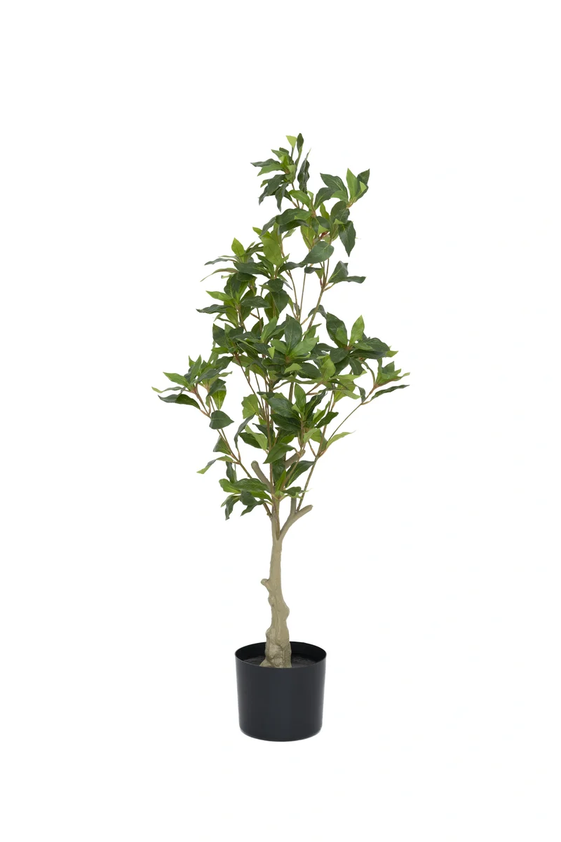 Pieris künstlich, H: 95cm