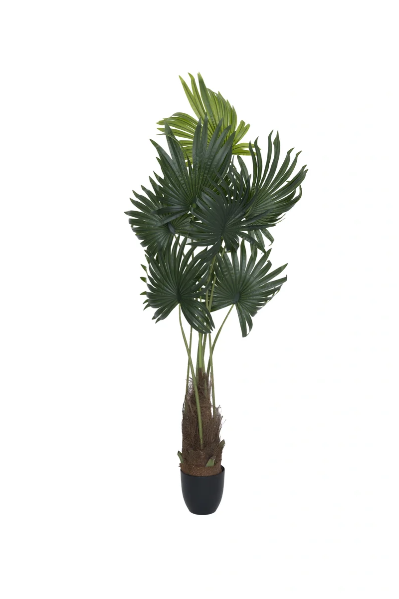 Palme künstlich, H: 160cm