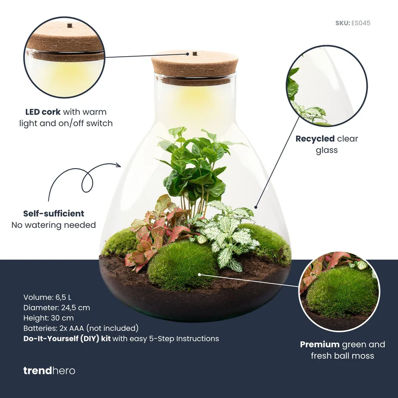 Sam Coffea - Terrarium with light - Bottle garden DIY kit - Ø 24.5 cm ↑ 30 cm