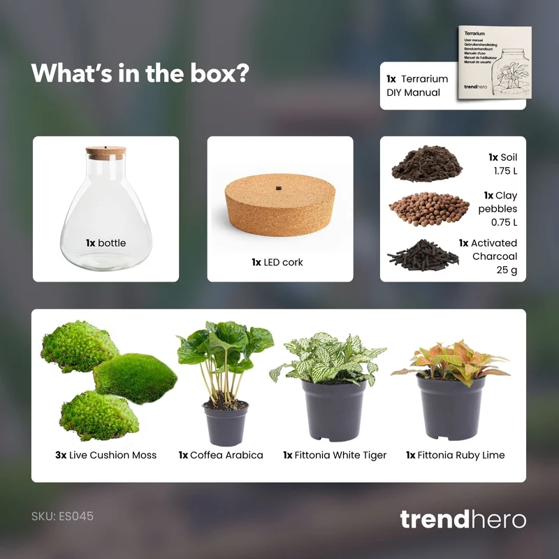 Sam Coffea - Terrarium with light - Bottle garden DIY kit - Ø 24.5 cm ↑ 30 cm