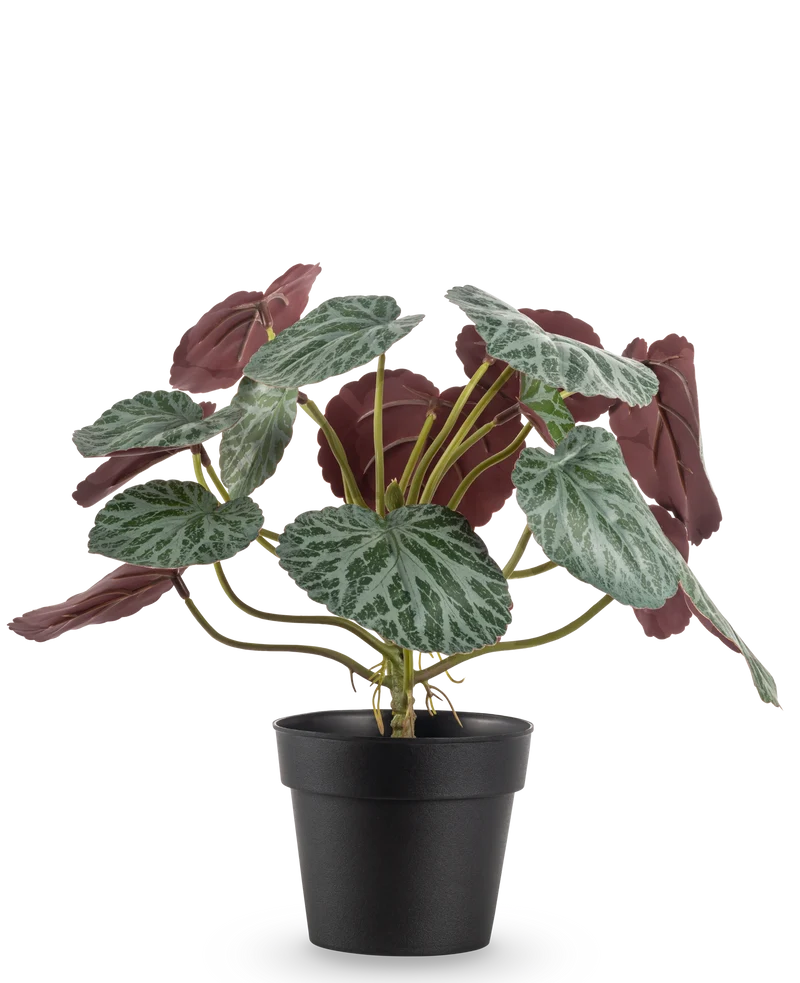 Künstliche Pflanze Saxifraga 27 cm