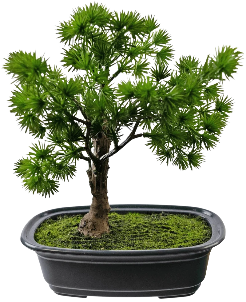Künstliche Pflanze Bonsai Wacholder 20 cm