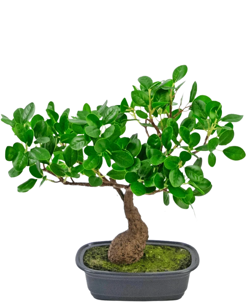 Künstliche Pflanze Bonsai Ficus 30 cm