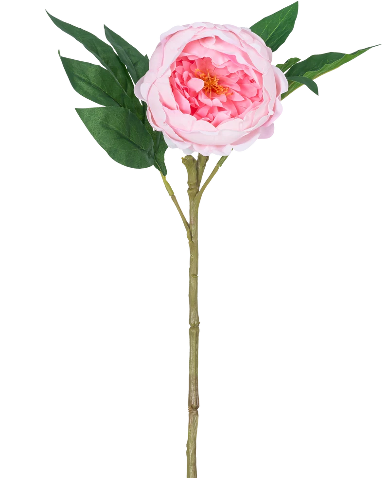 Künstliche Pfingstrose Real Touch Rosa 58cm