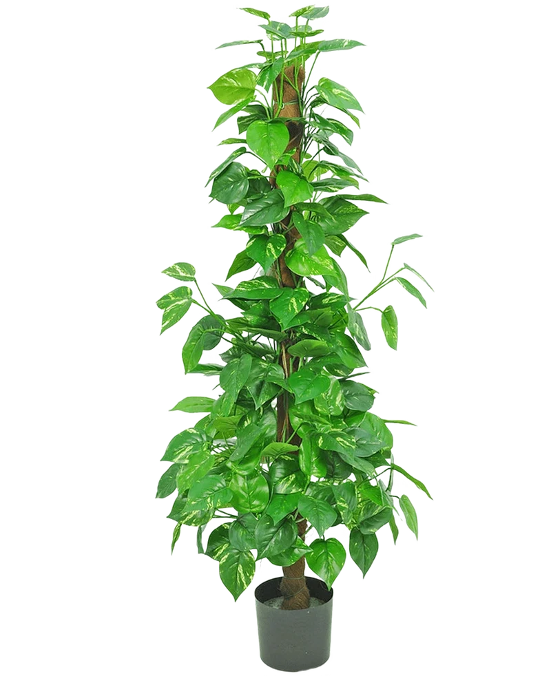 Künstliche Pflanze Pothos 150 cm
