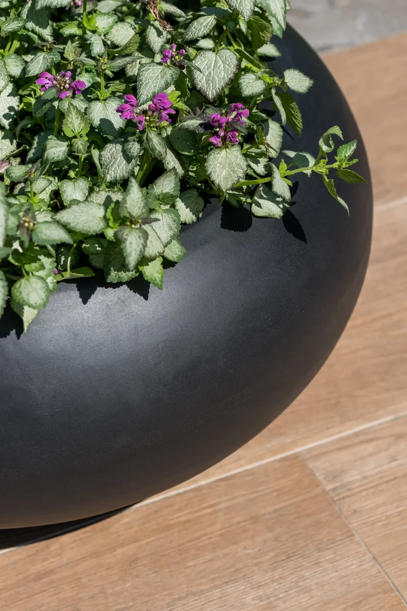 Bauchig runder Pflanzkübel Cora Schwarz aus Fiberstone