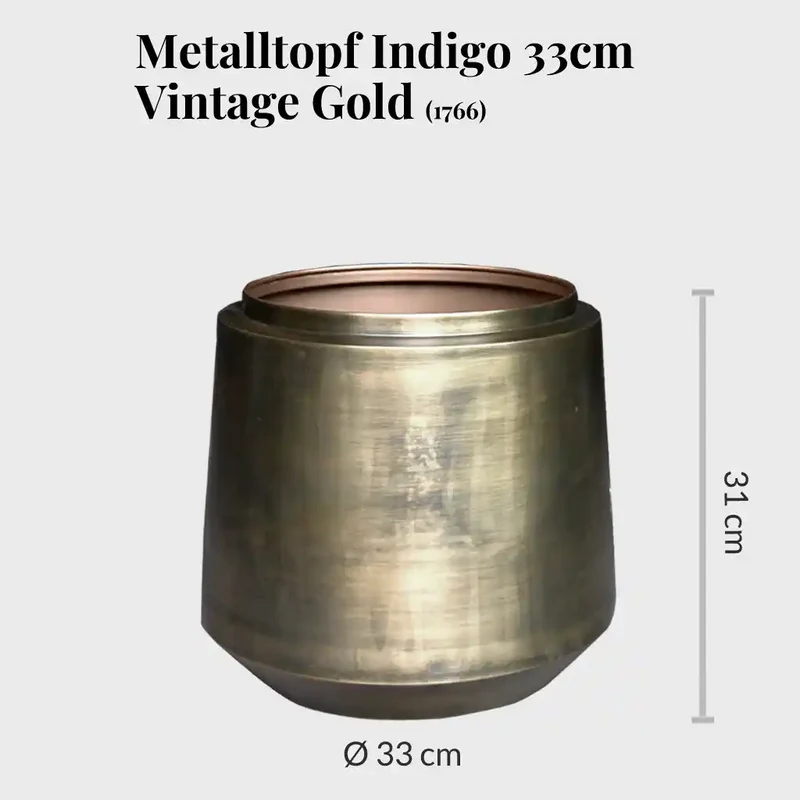 Palettenset Palmenfeeling-Indigo : 3XXL 3XL Büropflanzen in Hydrokultur