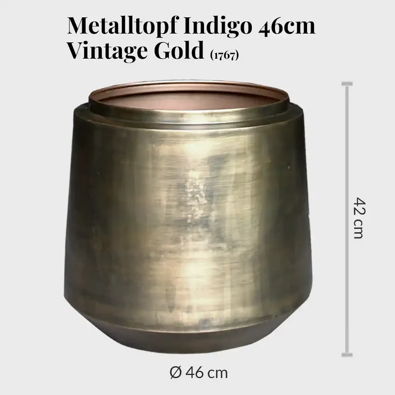 Palettenset Palmenfeeling-Indigo : 3XXL 3XL Büropflanzen in Hydrokultur