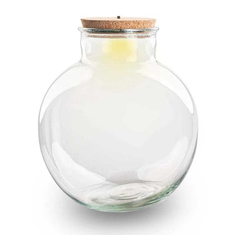 Terrarium bottle 'Bolder Bob' - Incl. (LED) cork - Closed terrarium Ø 30 cm ↑ 31 cm