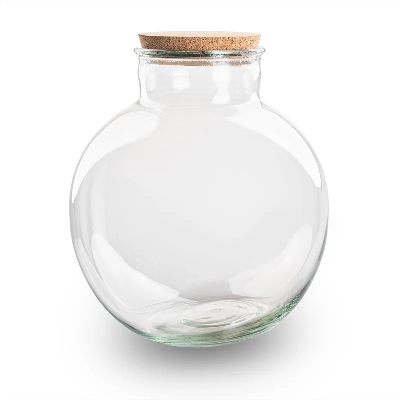 Terrarium bottle 'Bolder Bob' - Incl. (LED) cork - Closed terrarium Ø 30 cm ↑ 31 cm
