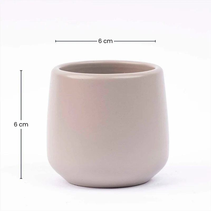 Joey - Mini Plant Pot - Grey matte - Ø 6 cm ↑ 6 cm