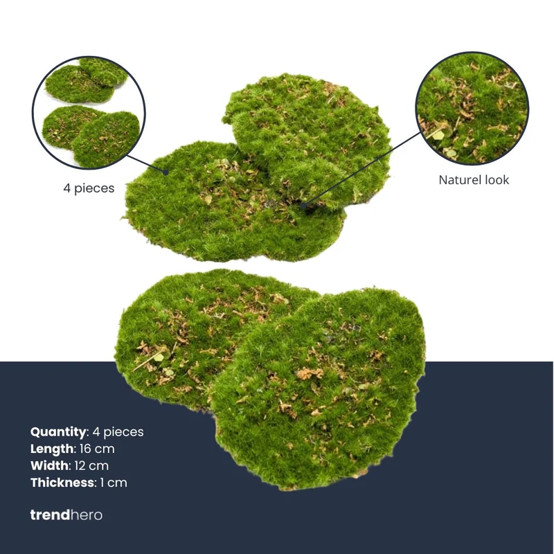 Moss Plate - Green moss – Set of 4 - Artificial moss