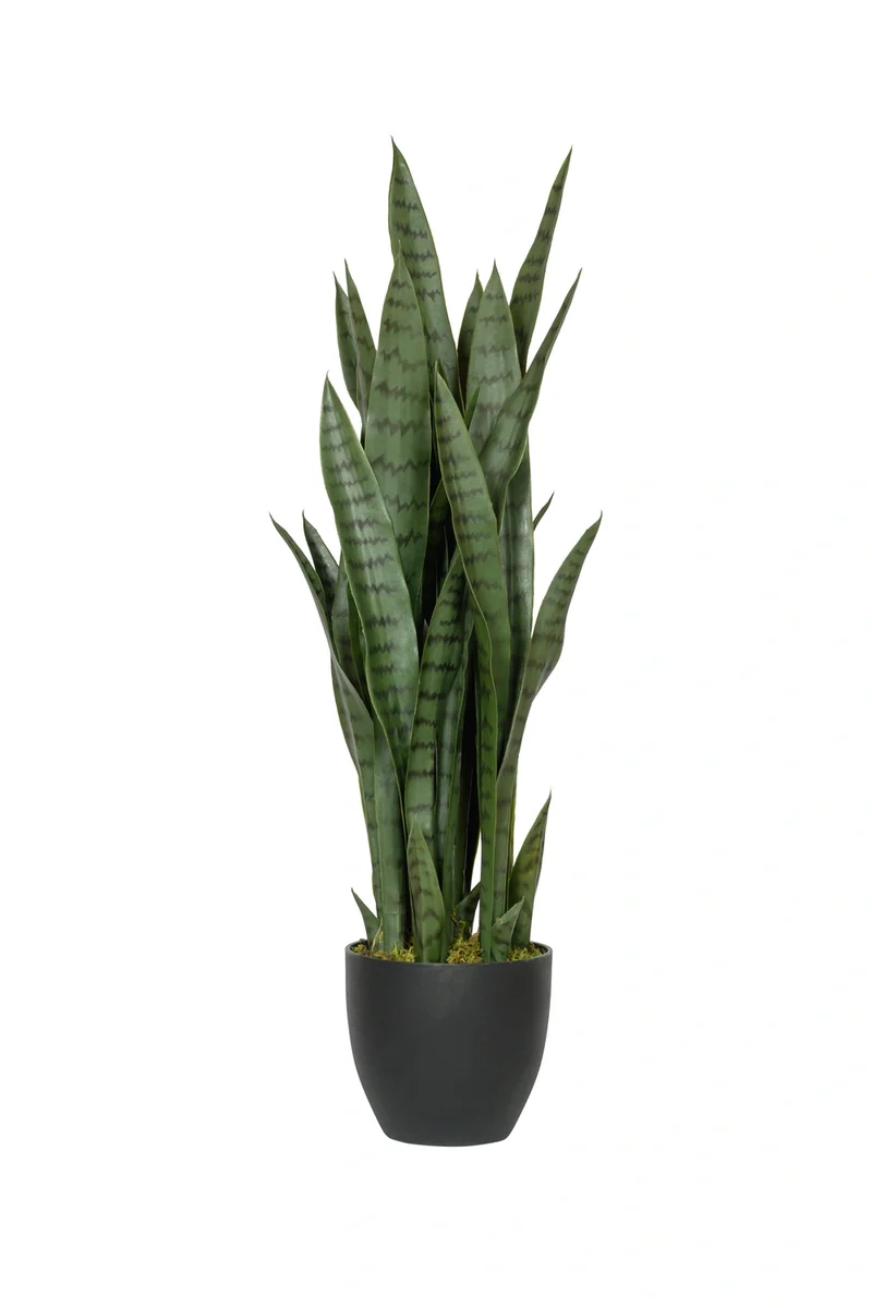 Sansevieria künstlich, H: 85cm