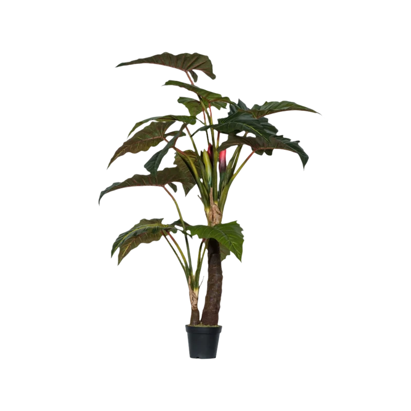 Alocasia künstlich, H: 220cm