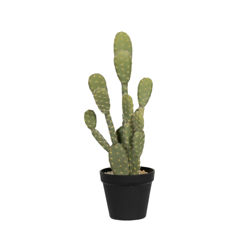 Kaktus Opuntia künstlich, H: 72cm
