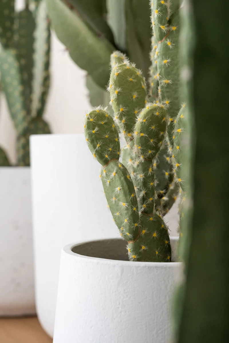 Kaktus Opuntia künstlich, H: 72cm