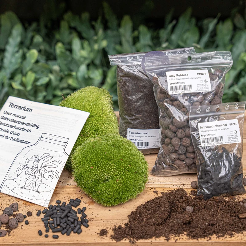 Terrarium Package – Refill & Starter Package – DIY Terrarium Kit – Size S/M