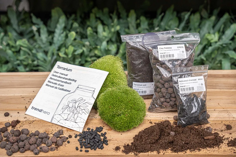 Terrarium Package – Refill & Starter Package – DIY Terrarium Kit – Size S/M