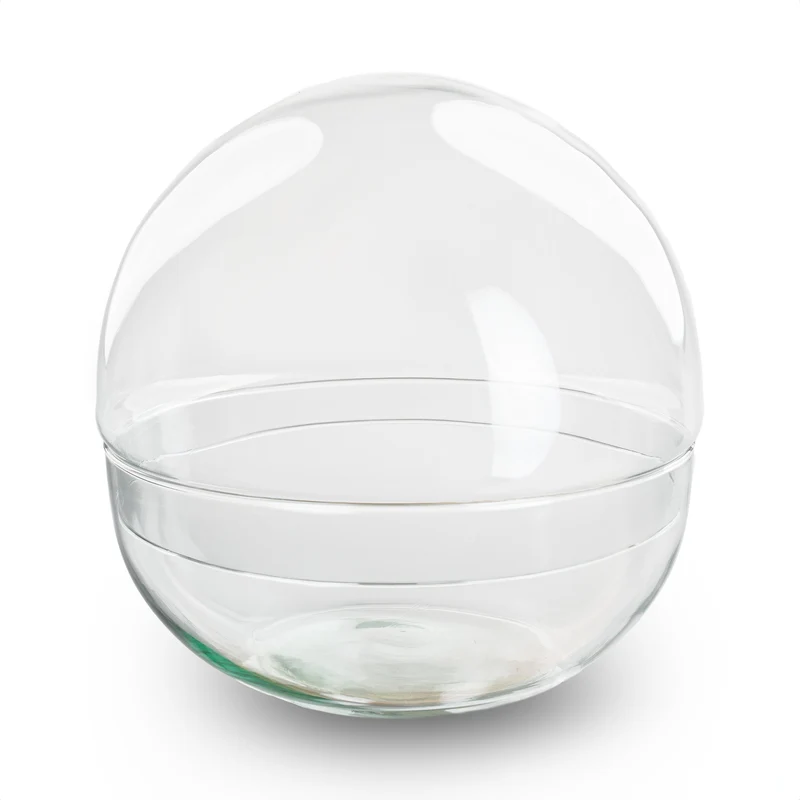 Terrarium bottle ‘Dome’ – Two-part round glass – Closed terrarium Ø 20 cm ↑ 20 cm