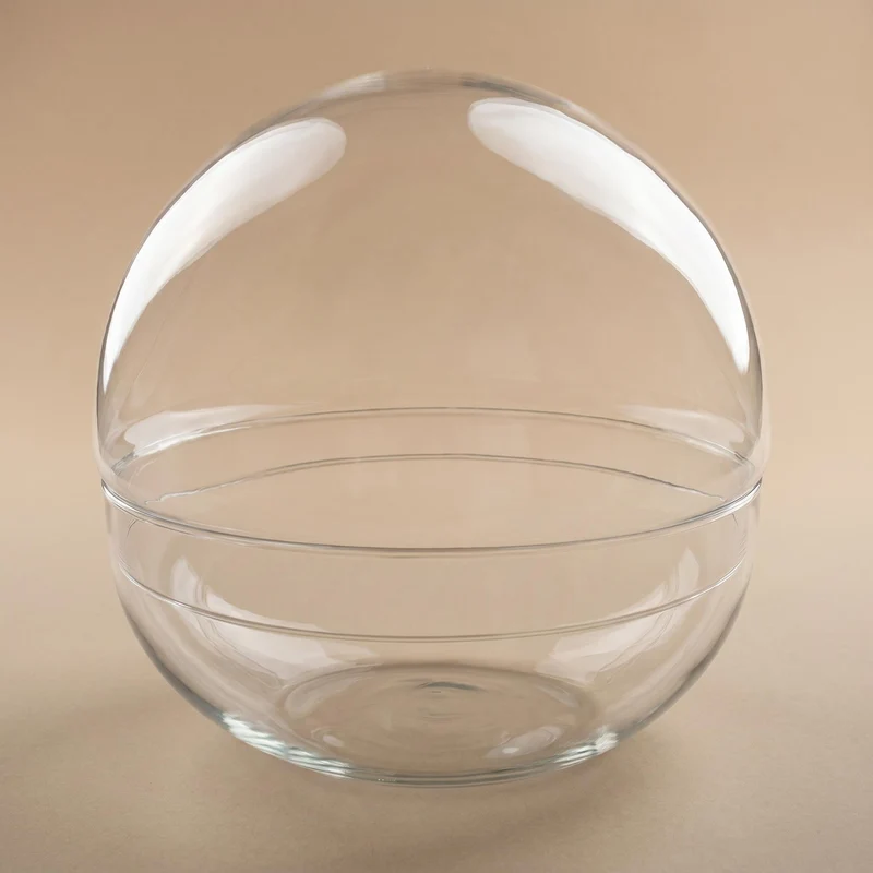 Terrarium bottle ‘Dome’ – Two-part round glass – Closed terrarium Ø 20 cm ↑ 20 cm