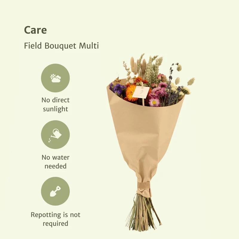Dried flowers - Field Bouquet Multi - Dried bouquet - 50cm - Ø20
