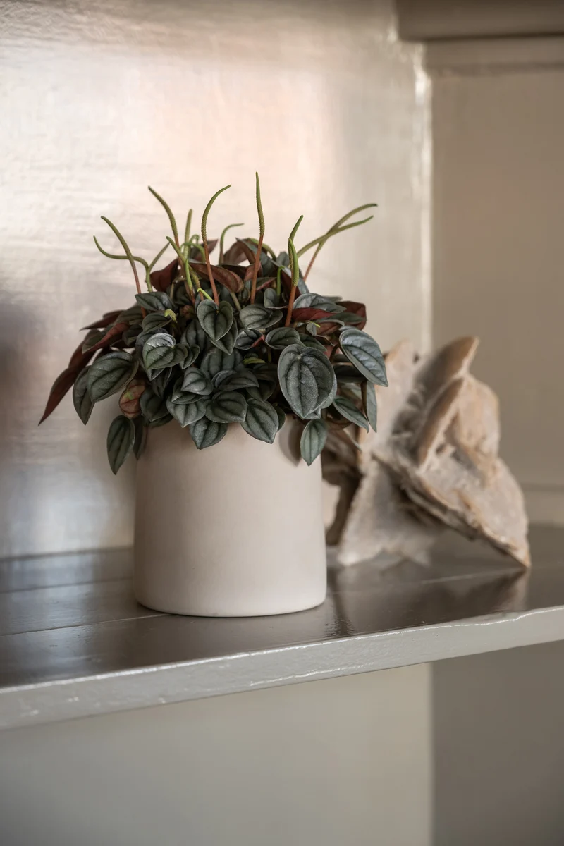 Blumentopf Sofia Beige aus glasierter Keramik