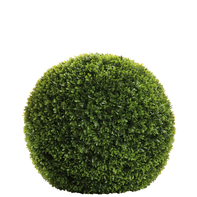 BUXUS Buchskugel grün