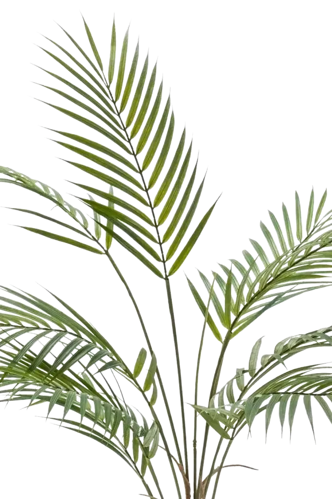 Künstliche Bergpalme - Nadine | 120 cm