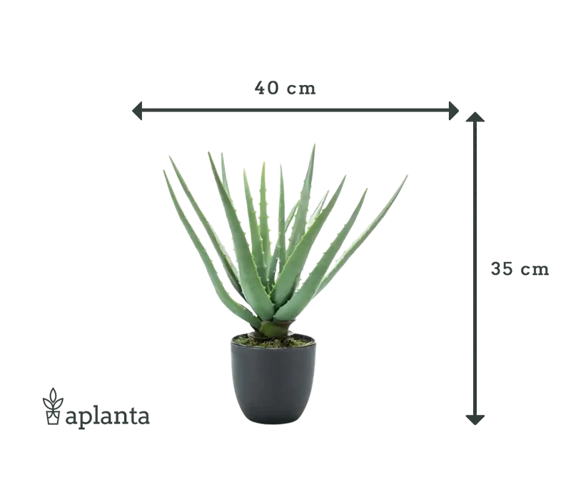 Künstliche Aloe - Penelope | 35 cm