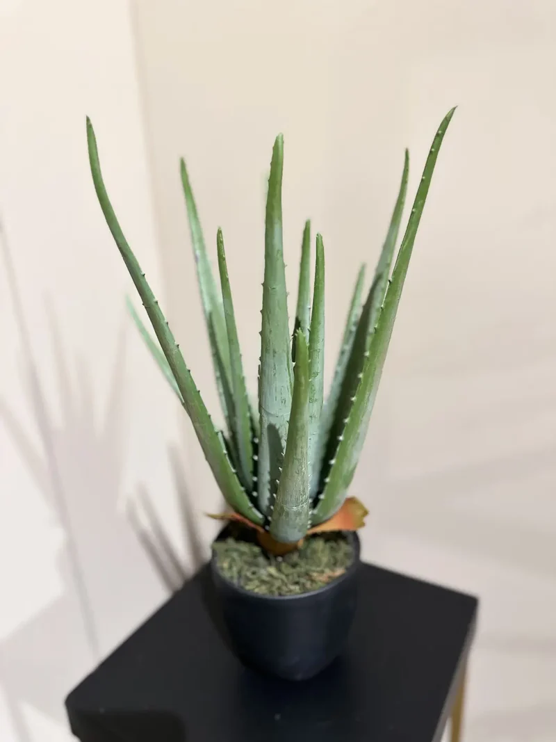 Künstliche Aloe - Penelope | 35 cm